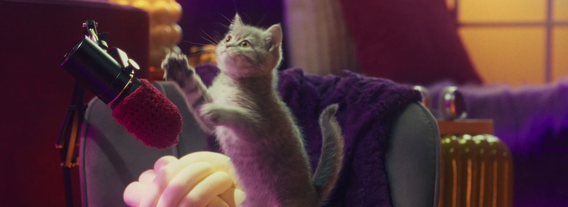 Warum macht mein Kätzchen dieses Geräusch?