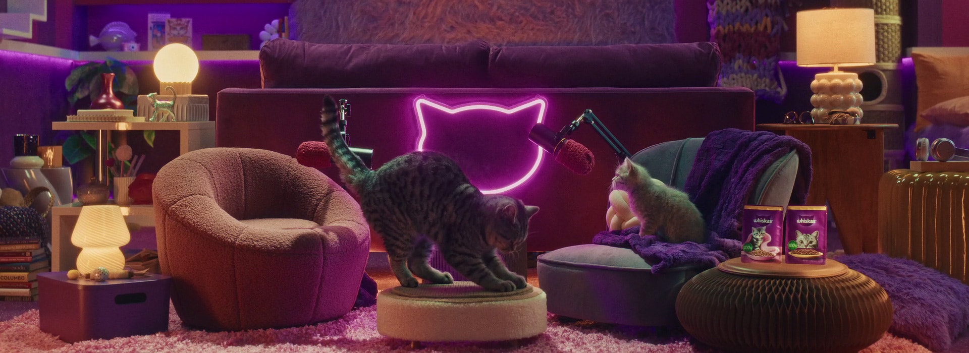 Was zum Teufel macht mein Kätzchen?