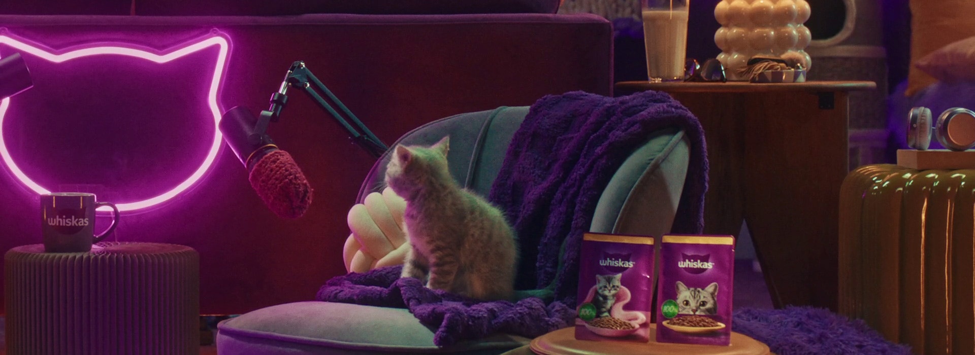 Was sollte mein Kätzchen trinken?