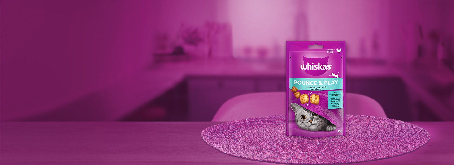 POUNCE & PLAY Hero Image