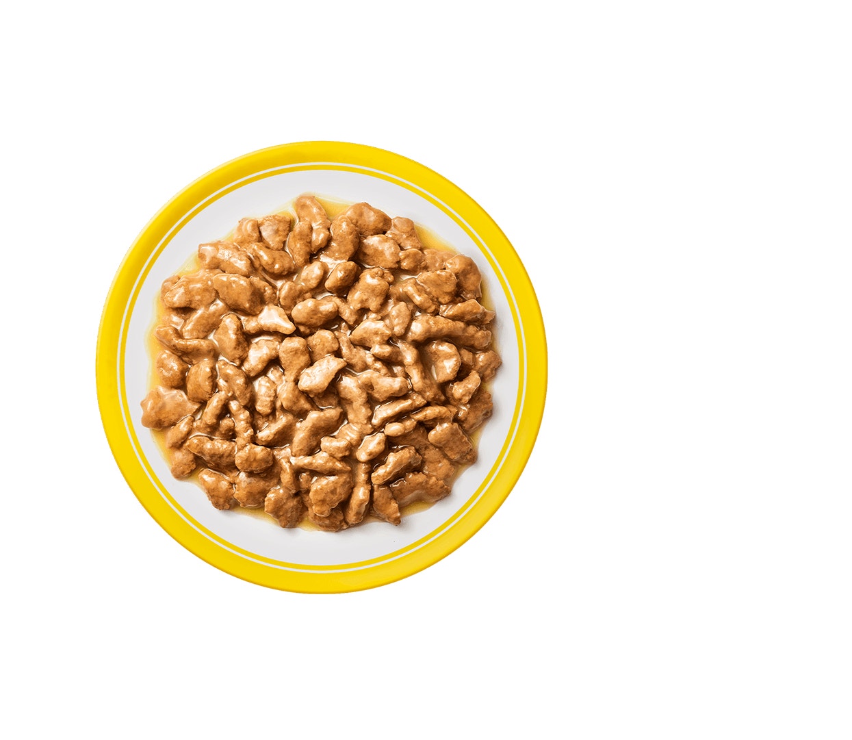 Vollständige und ausgewogene Ernährung, die deine Katze lieben wird