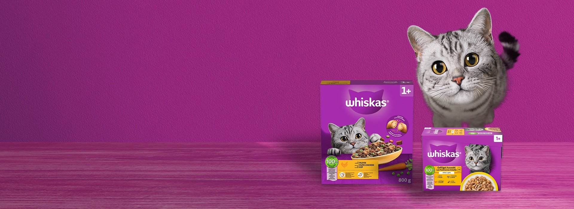 Katzenfutter für ausgewachsene Katzen