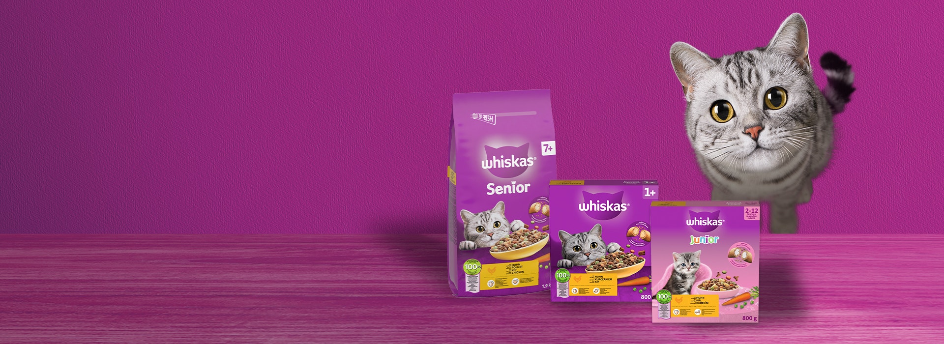 Katzen Trockenfutter