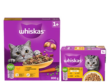 Katzen 1+ Jahre Produkte