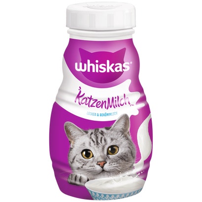 Katzenmilch